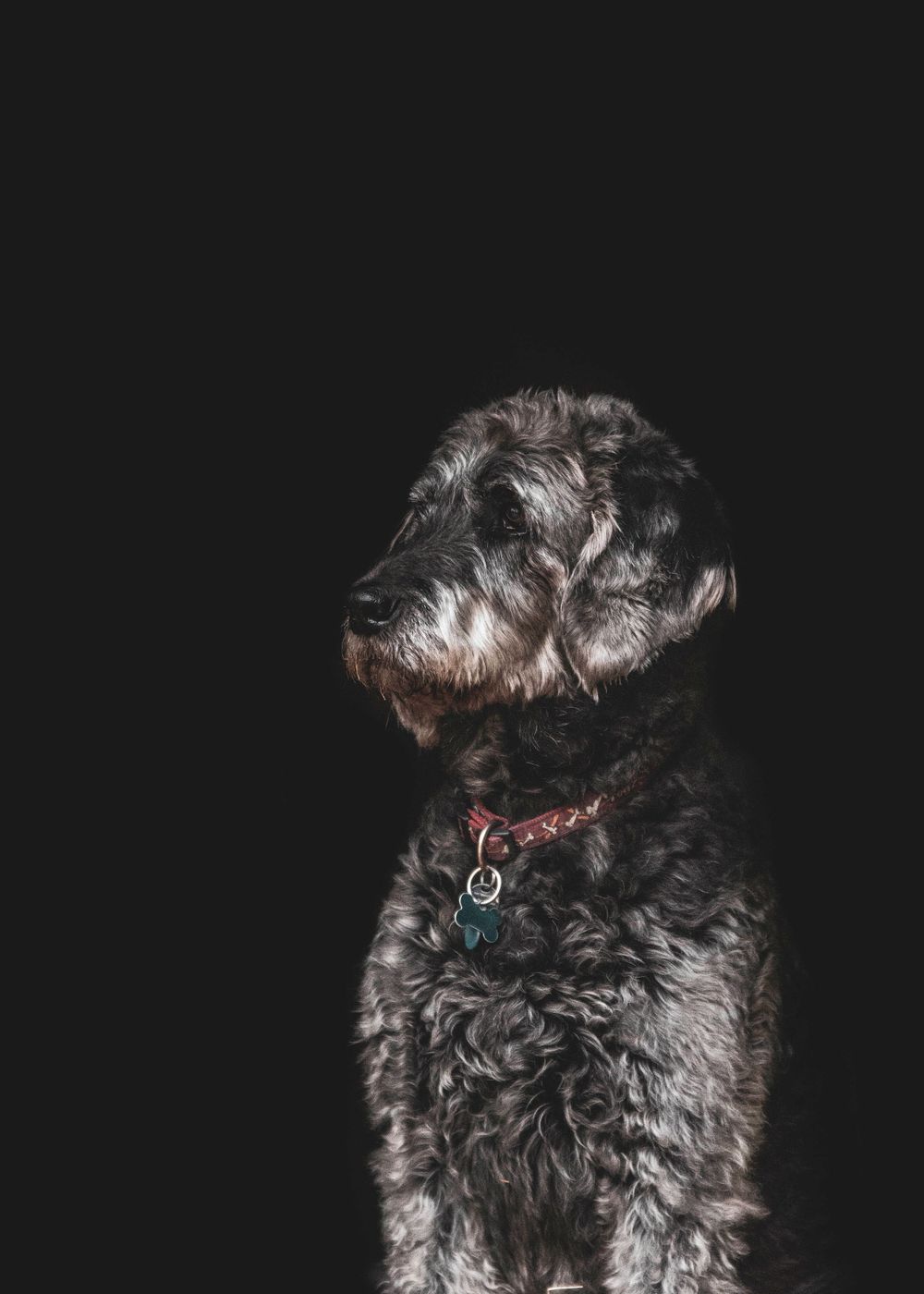 Fine Art Portfolio, Emma Laws Photography