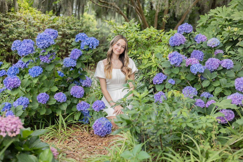 Beautiful garden scene with vibrant blue hydrangeas and green foliage along a winding pathway.