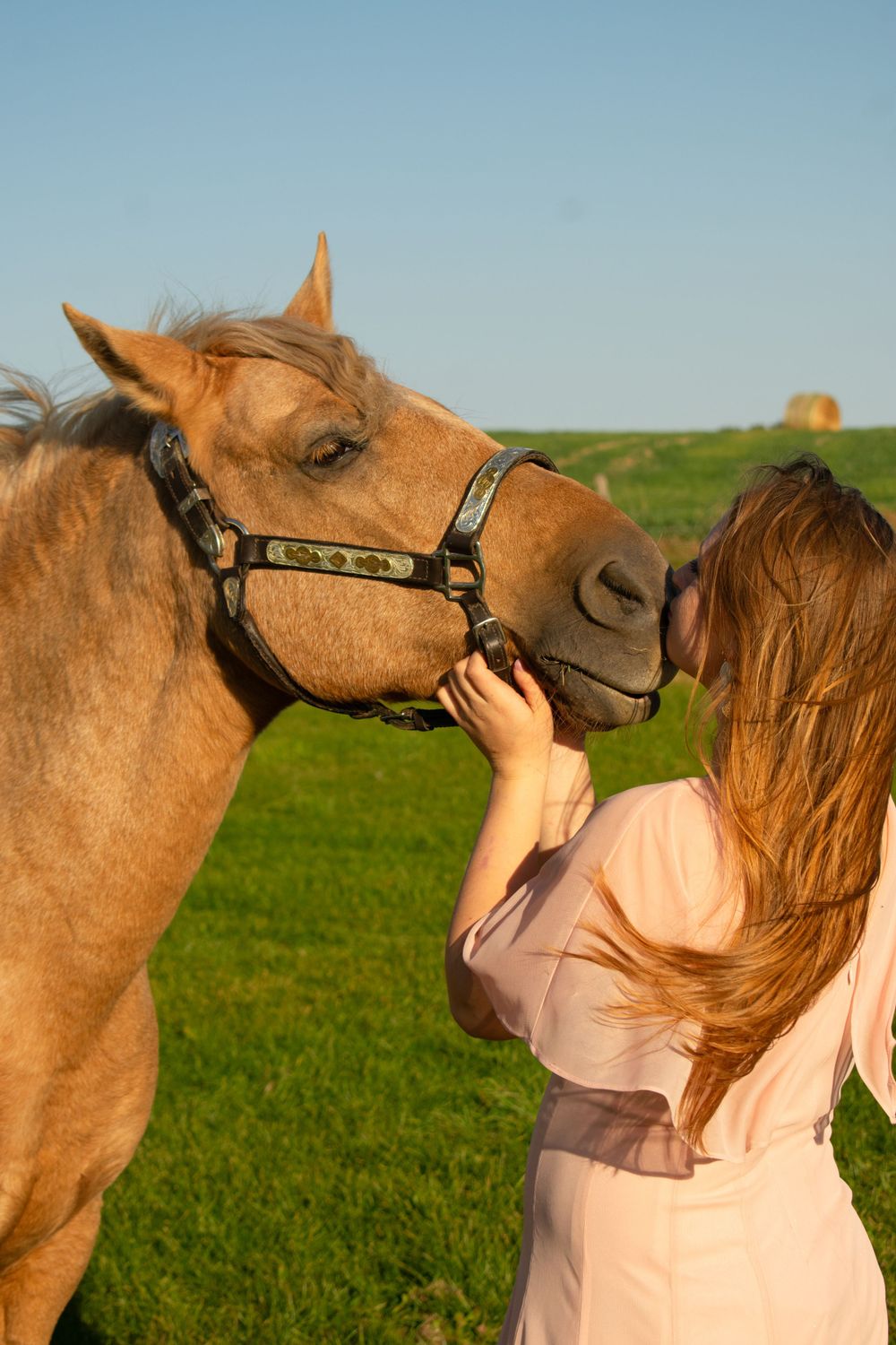 Girl standing in front of her horse, lifting his face up to kiss his nose in a Wisconsin hayfield