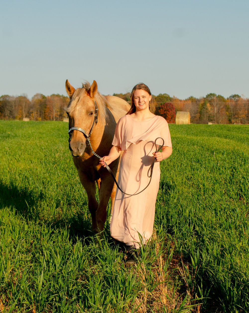 Girl and horse walking toward the camera in a Wisconsin hayfield