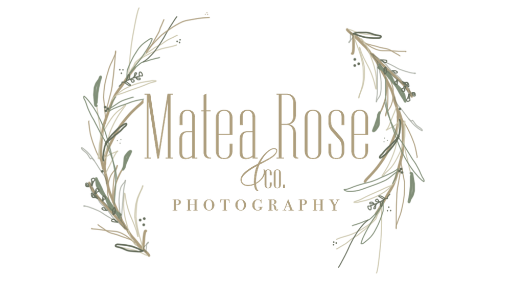 Matea Rose and Co Photography logo with elegant botanical leaf branch design.