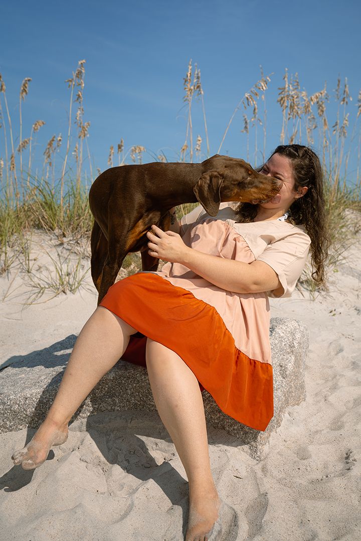 A Doberman gives kisses on a sandy beach dune on a sunny day.