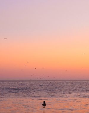 fine art landscape photograph of Santa Cruz California beach sunset with ocean swimmer birds pink sky awestruck beauty wall art