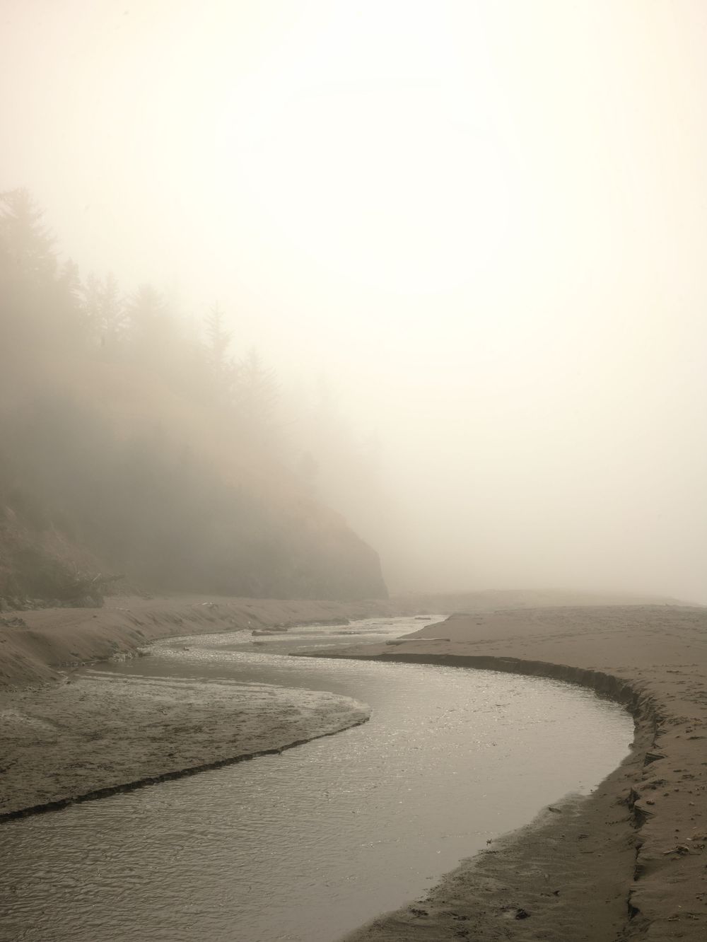fine art landscape photograph of a small creek flowing through a beach in Oregon with fog foggy forest ocean wall art
