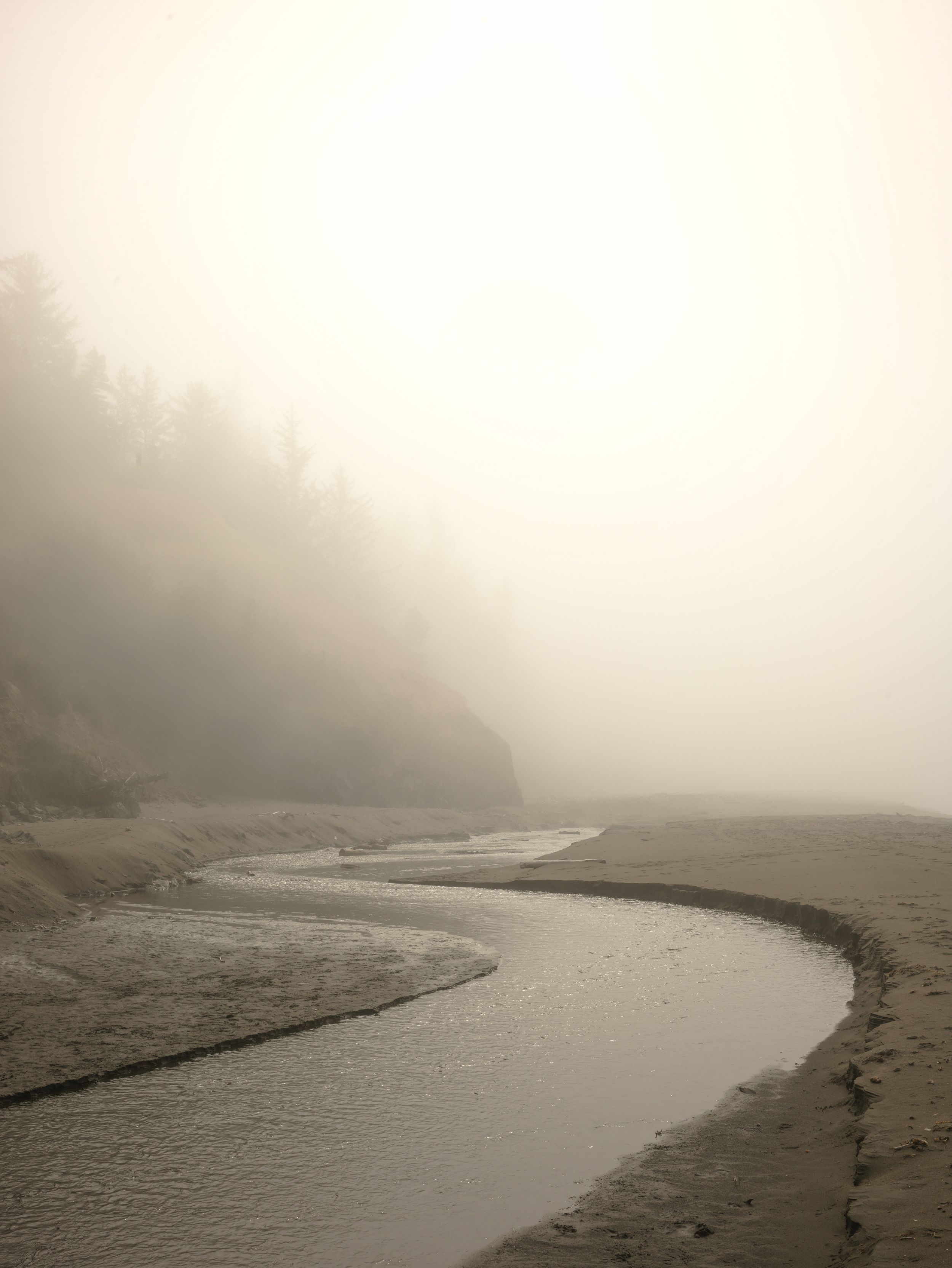 fine art landscape photograph of a small creek flowing through a beach in Oregon with fog foggy forest ocean wall art