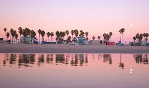 fine art landscape photograph of full moon rising over Venice beach with a pink sky over the beach reflecting palm trees wall art