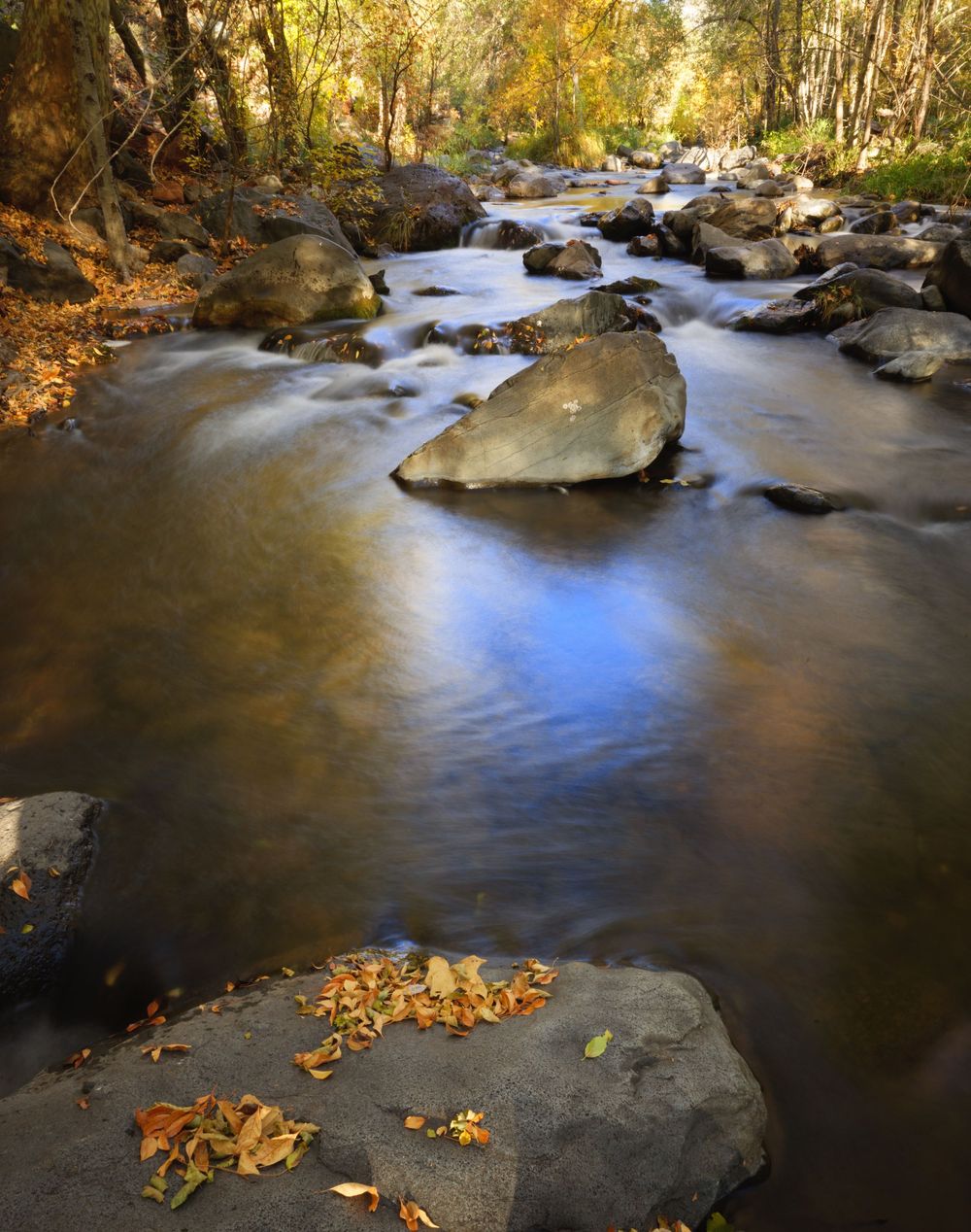 fine art landscape photograph of oak creek canyon in Sedona with fall colors trees rocks and flowing water. Wall art