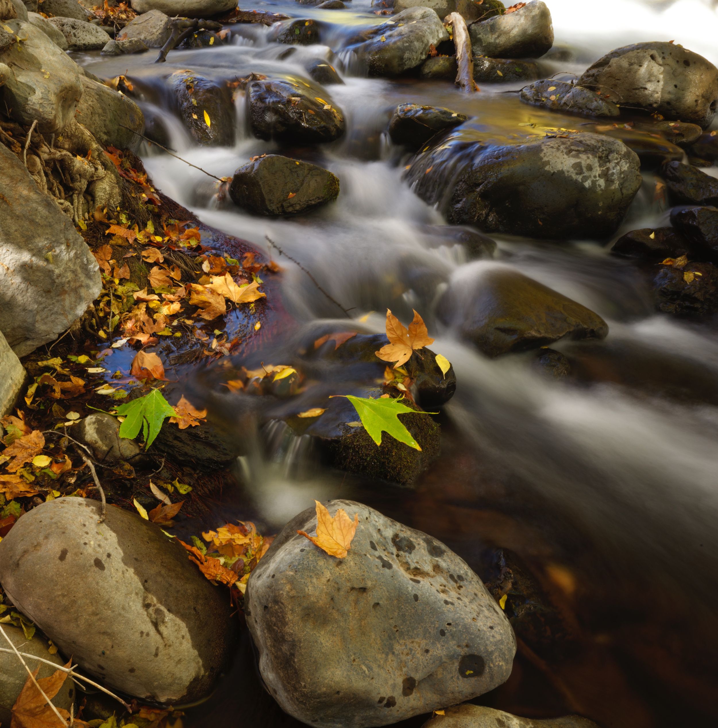 Fine art landscape photograph of fall colors next to a long exposure shot of oak creek flowing through sedona. Wall art.
