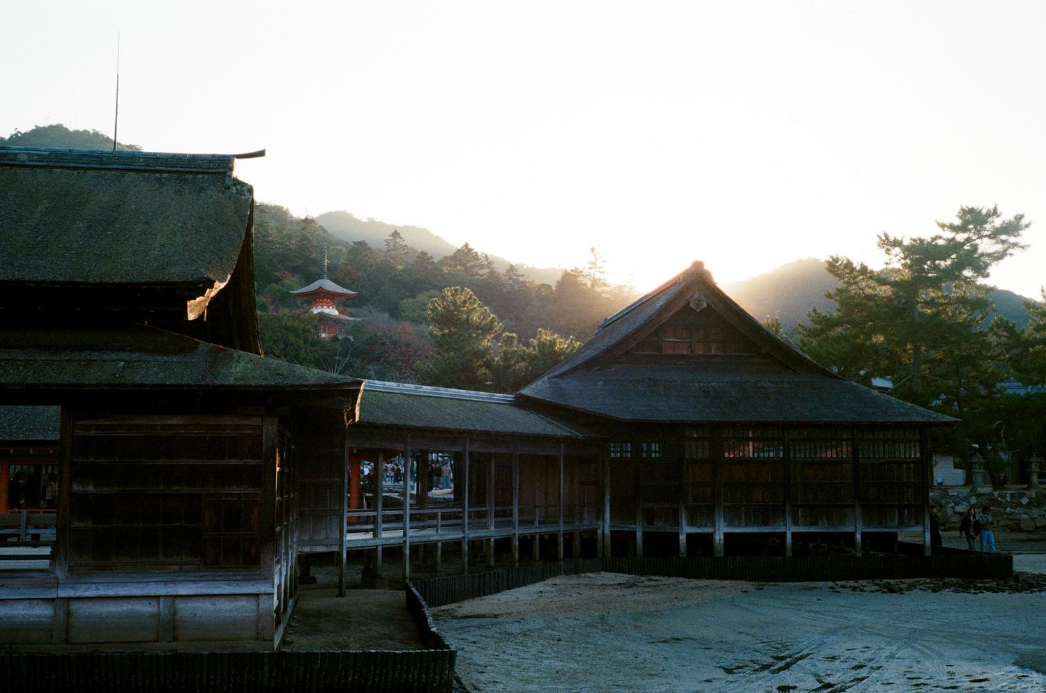 Traditional Japanese shrine buildings with wooden architecture stand against a misty mountain backdrop at sunset.