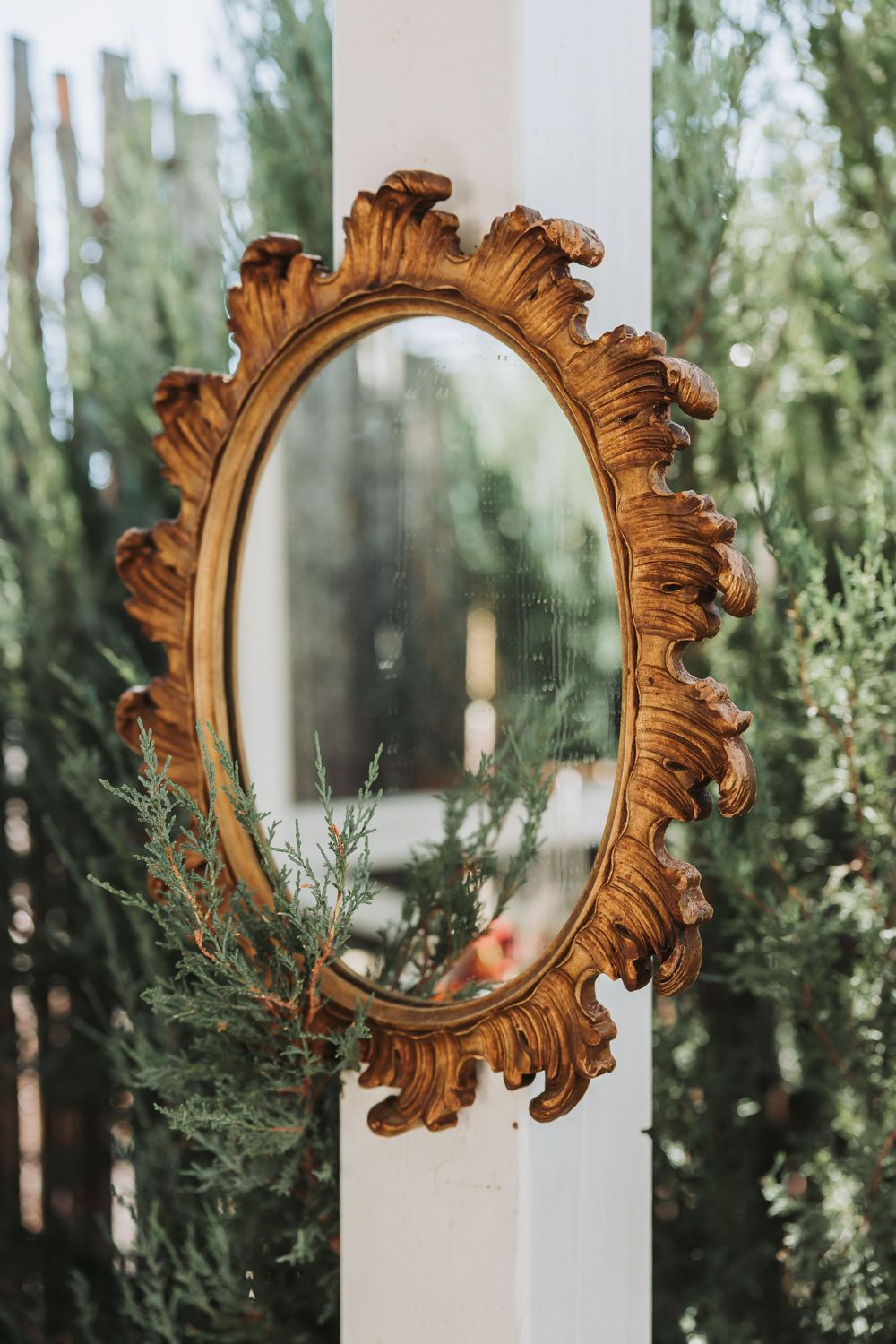 A vintage ornate gold mirror with decorative flourishes hangs against a white wall with green foliage in the background.