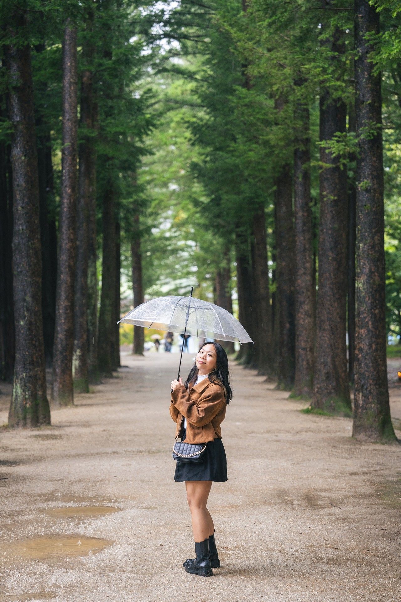 A person holding a clear umbrella walks along a scenic tree-lined path during a rainy day.