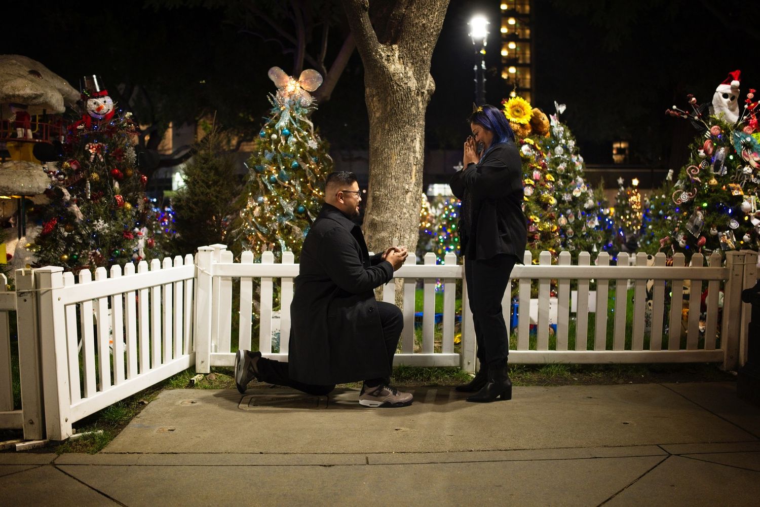 Festive outdoor holiday display with white picket fence and decorated trees at night.