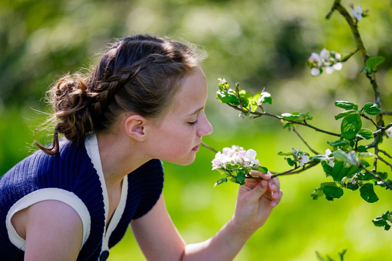 Someone smelling blooming white flowers on a tree branch against a bright green spring background.