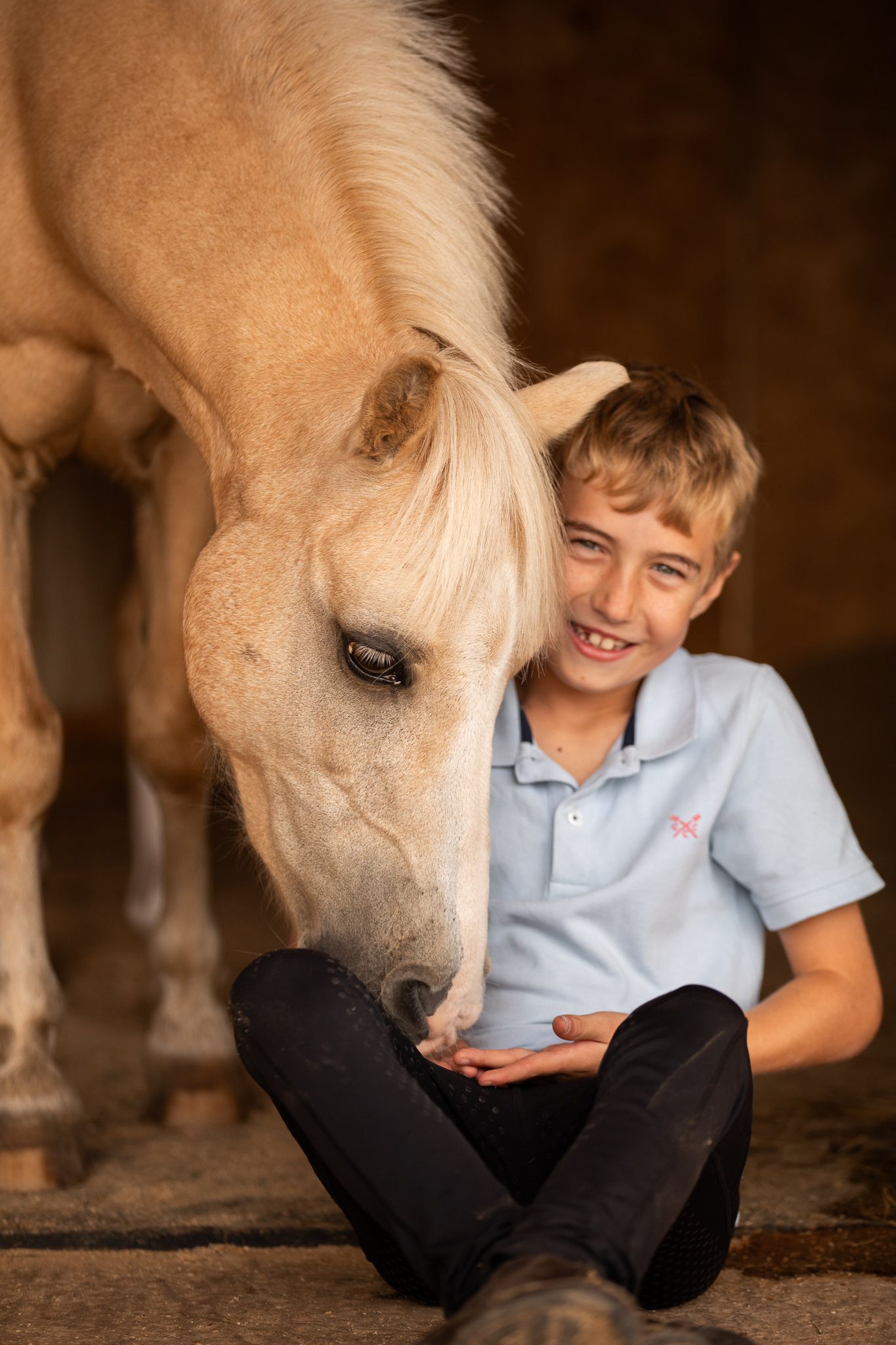 Palomino horse curiously sniffs and investigates someone sitting on stable floor wearing dark pants and light shirt.