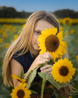 A person poses behind bright yellow sunflowers in a summer field.