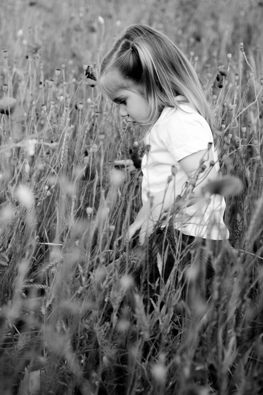Black and white portrait of small child in white shirt standing in tall grass and wildflowers.