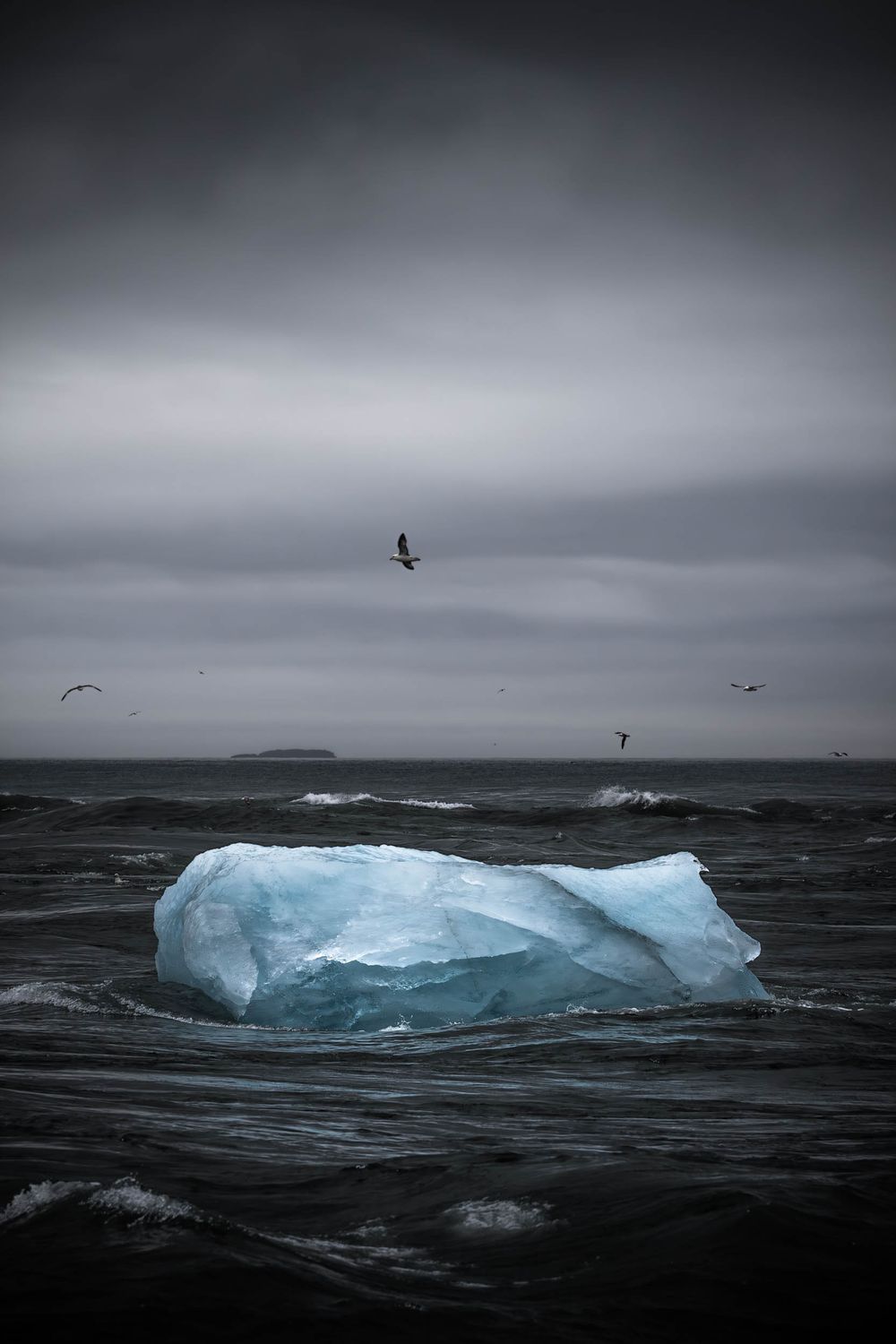 A dramatic seascape features a lone blue iceberg floating in dark waters with seabirds soaring against a moody gray sky.