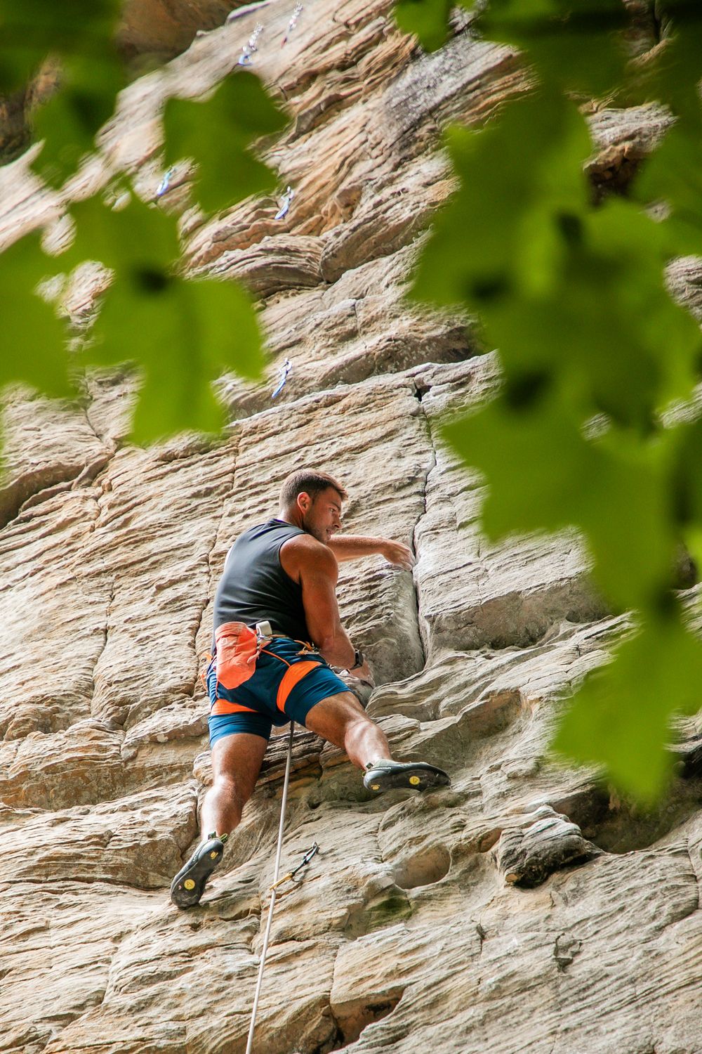 Rock climber ascending a steep limestone cliff face framed by green foliage.