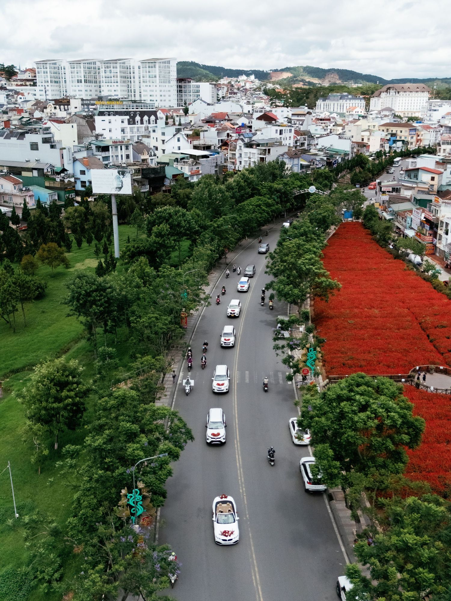 Aerial view of a city street lined with trees and red flowering trees, with urban buildings and mountains in the background.
