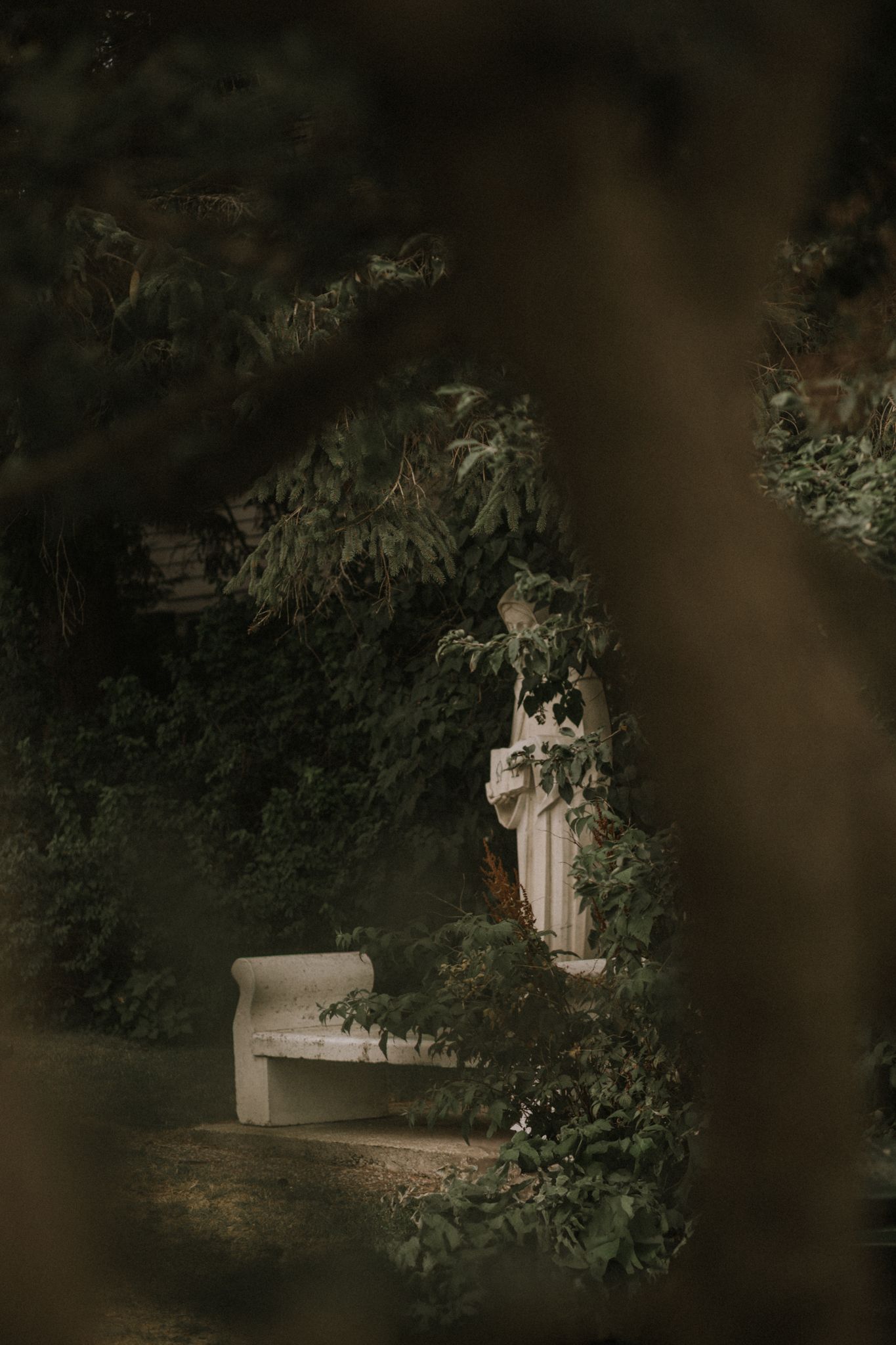 A religious statue through green foliage