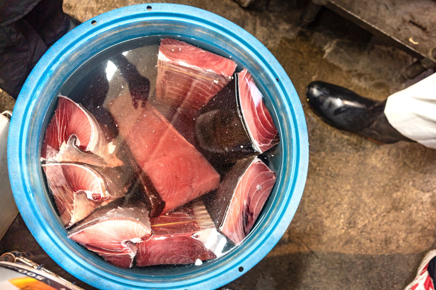 Fresh tuna pieces in a blue bucket at a fish market.