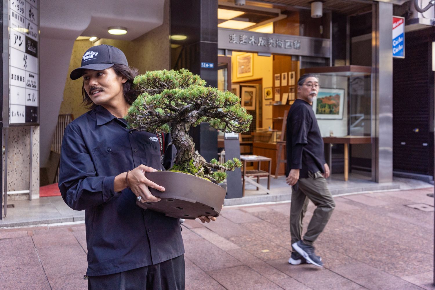 Gardener carefully carrying a beautifully maintained bonsai tree on city sidewalk.