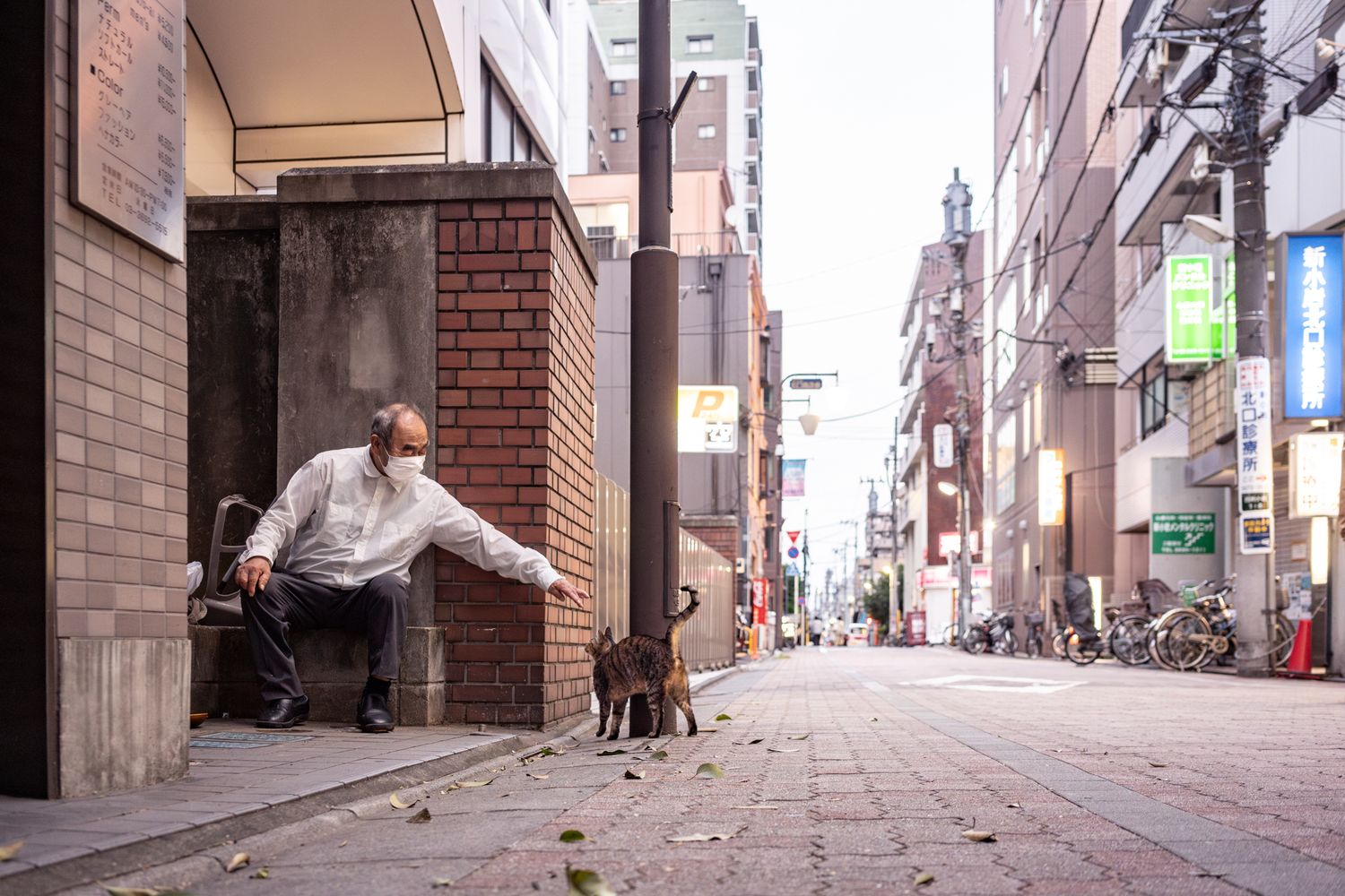 Elderly man with small dog resting in urban alleyway.