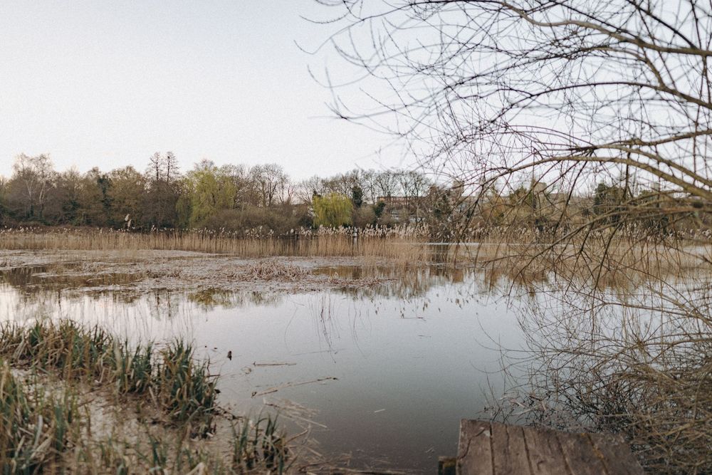 Lake at Sainsbury Centre, Norwich. Norwich Wedding Photography