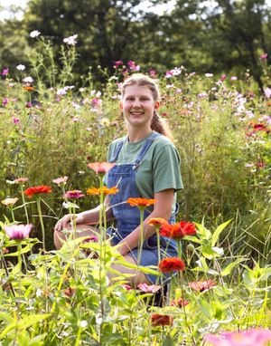 Person wearing overalls tends to vibrant wildflowers in a sunny garden filled with red, yellow and pink blooms.