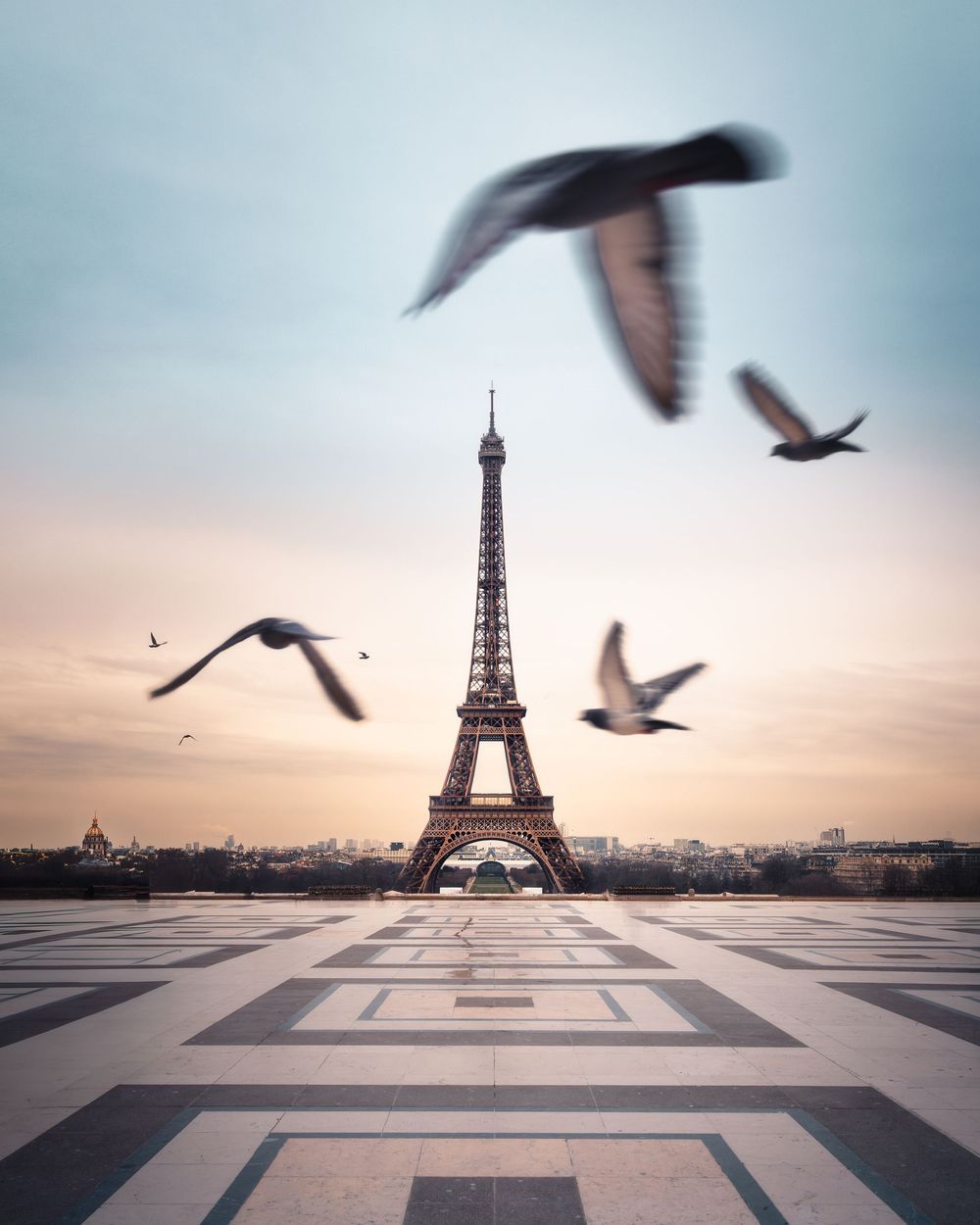 Birds flying past Eiffel Tower during sunset in Paris. Photograph by Chris Ha.
