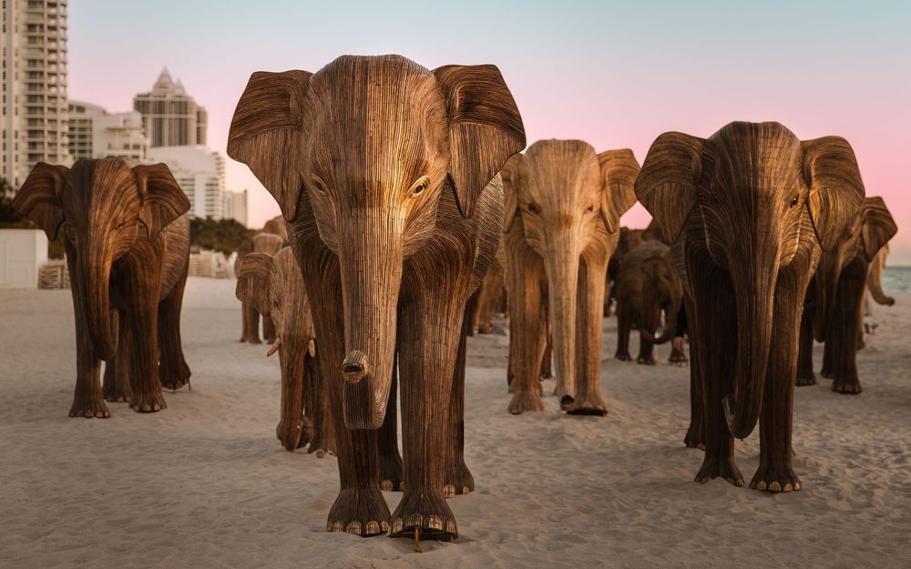 Group of wooden elephant sculptures arranged on a sandy beach at sunset. The Great Elephant Migration in Miami. Photograph by Chris Ha.