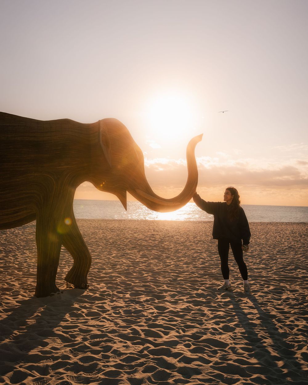 A silhouette of an elephant sculpture and person on a sunset beach. The Great Elephant Migration in Miami. Photograph by Chris Ha.