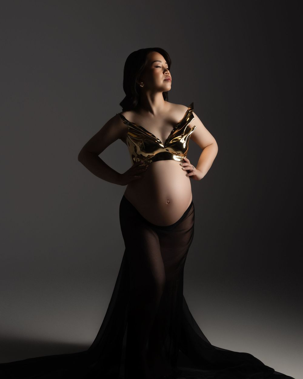 Artistic maternity portrait in black sheer gown with dramatic lighting against dark background creating elegant silhouette.
