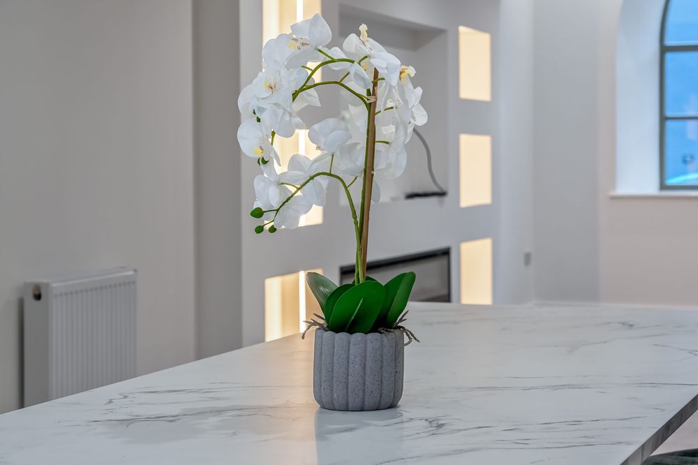 Bright interior space with white walls and orchid decorations on marble surfaces.