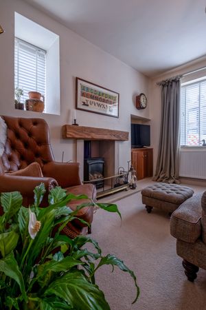 Cozy living room with brown leather armchairs, indoor plants, and modern entertainment setup.
