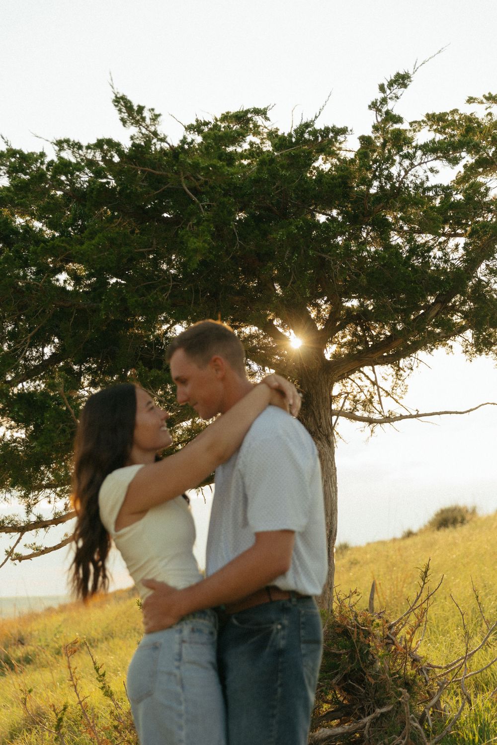 A romantic sunset moment between a couple embracing under a large tree in a golden field.