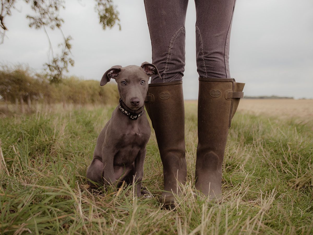 Testimonial. Photo session with Ruby & Nova in Wix, Essex for All Scene Images Photography.