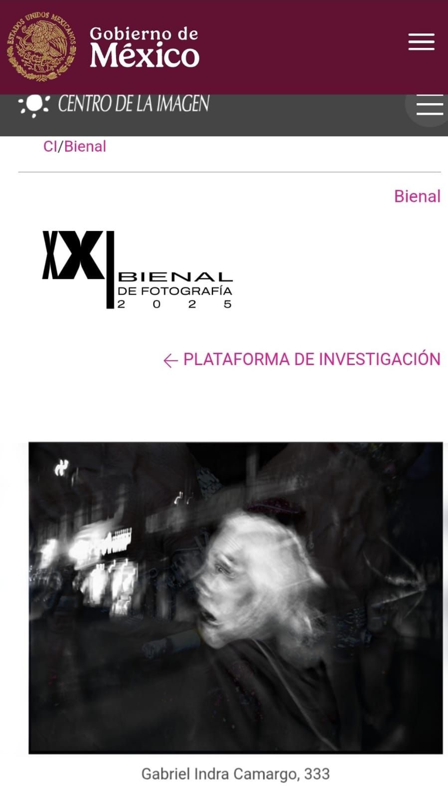 Publicación Cartografías, XXI Bienal del Centro de la Imagen - Gabriel Indra Camargo Indraxus