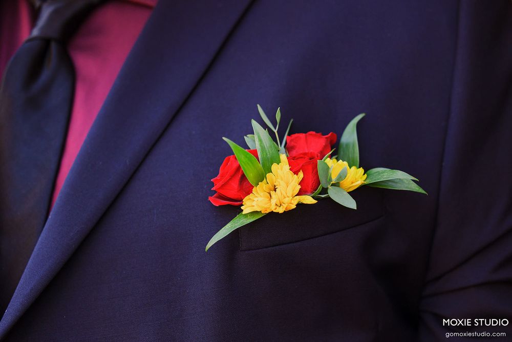 Red and yellow daylily flowers against a dark background create a vibrant botanical composition.