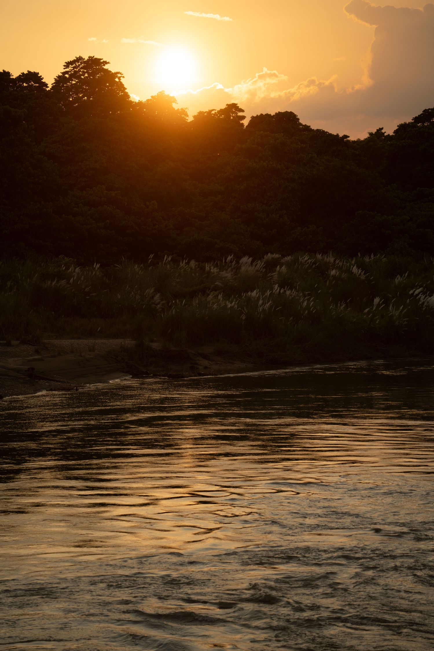 Sunset over a river creates golden reflections on the rippling water surface.