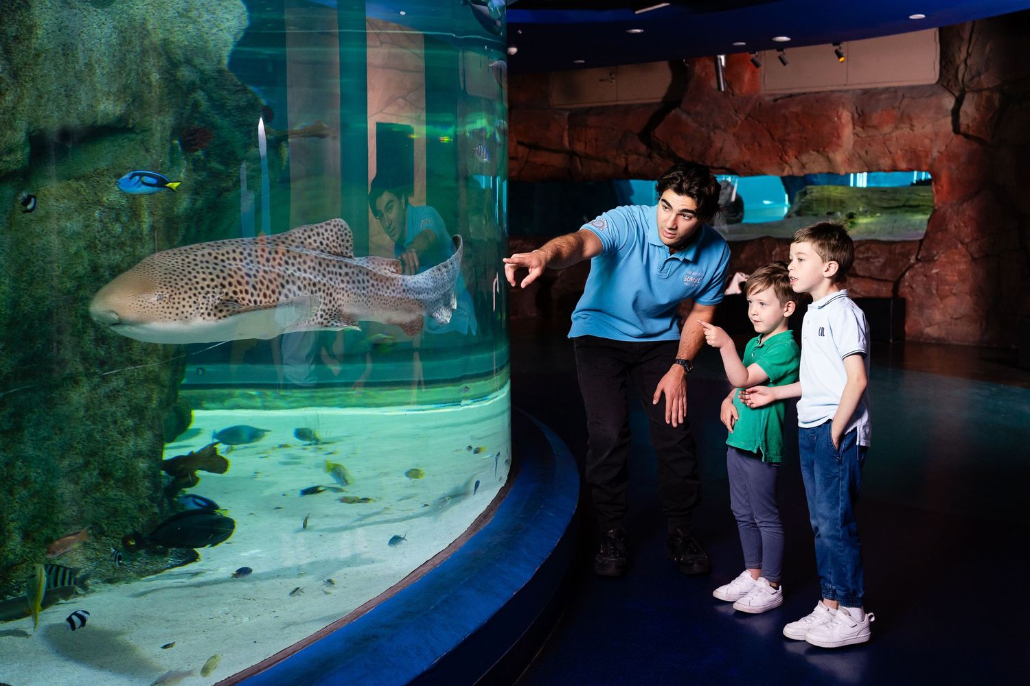 staff giving a tour guide to children in sealife melbourne aquarium, professionally lit photo for large scale ad campaign