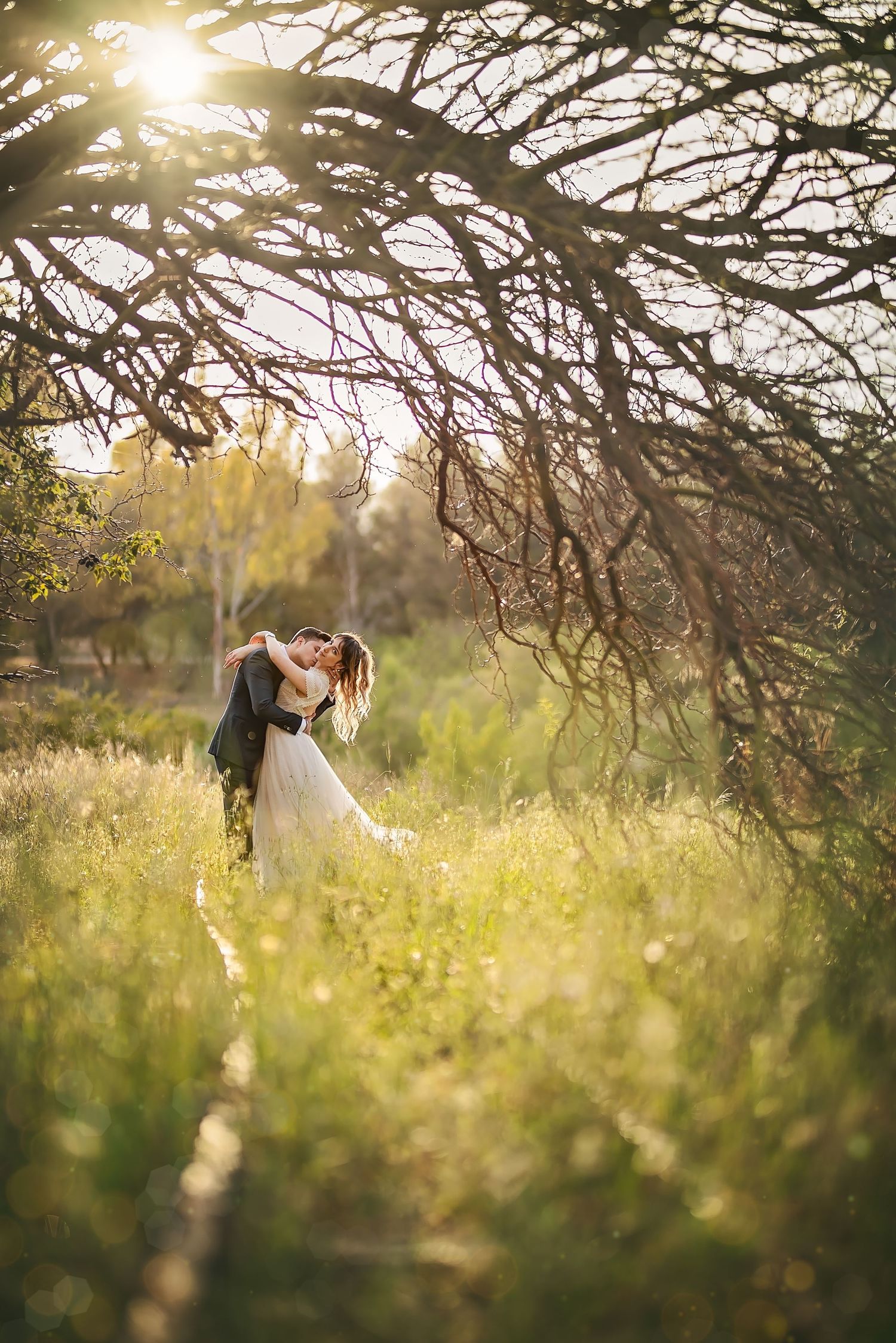 Dreamy wedding photo of couple in meadow with sunlight streaming through tree branches.