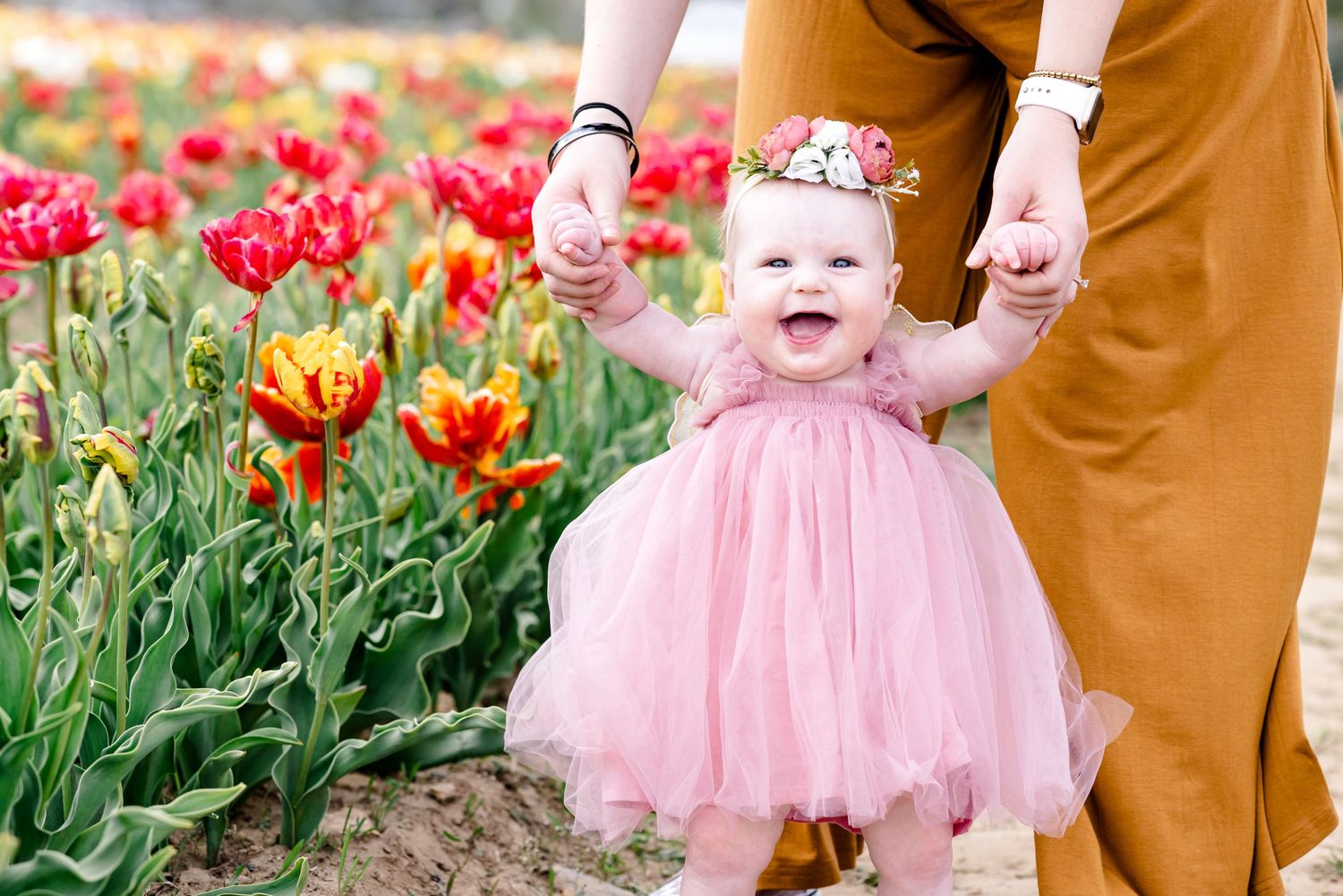 Toddler in pink tutu dress walking through vibrant tulip garden.
