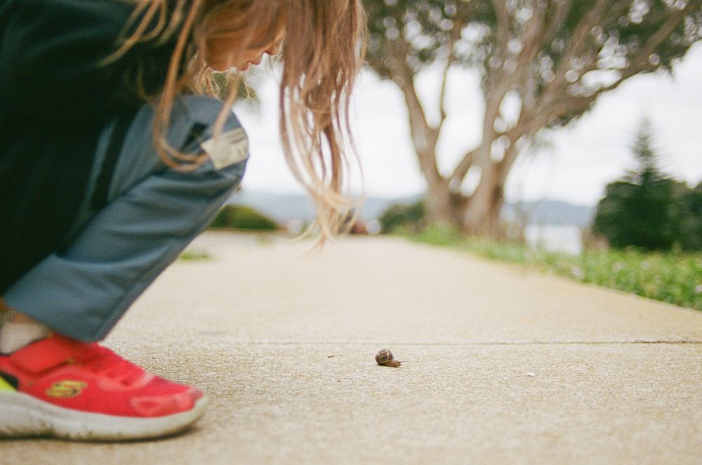 Close-up views of red shoes and skateboard wheels on concrete surface.