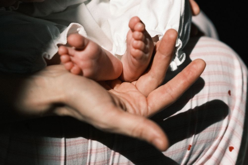 portrait session of a newborn baby