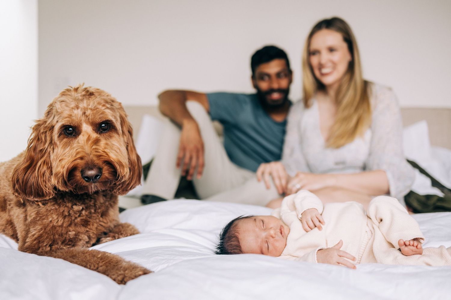 Lifestyle family photography session at home with baby and dog