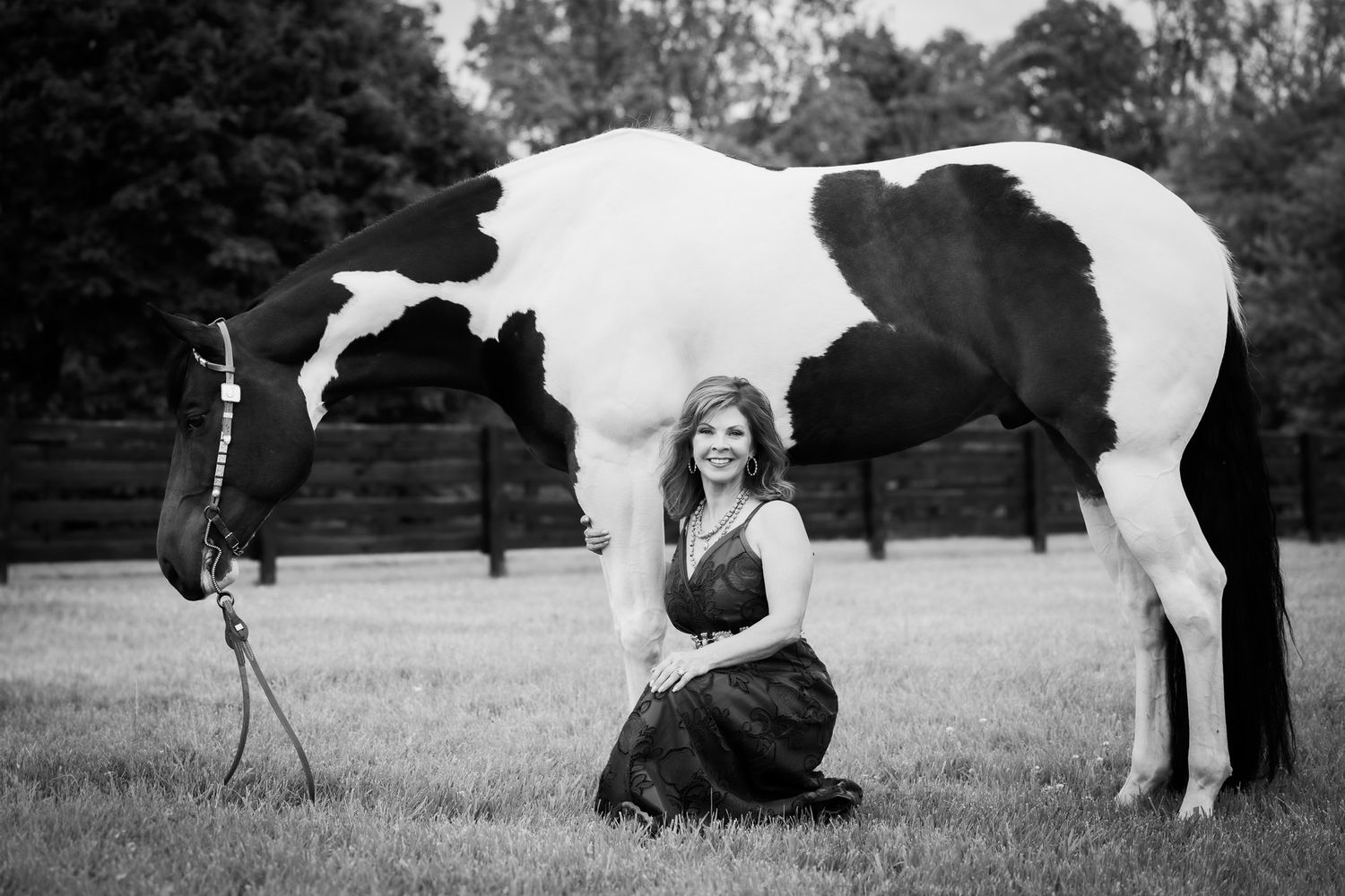 Photo session with a striking black and white paint horse in a grassy field.