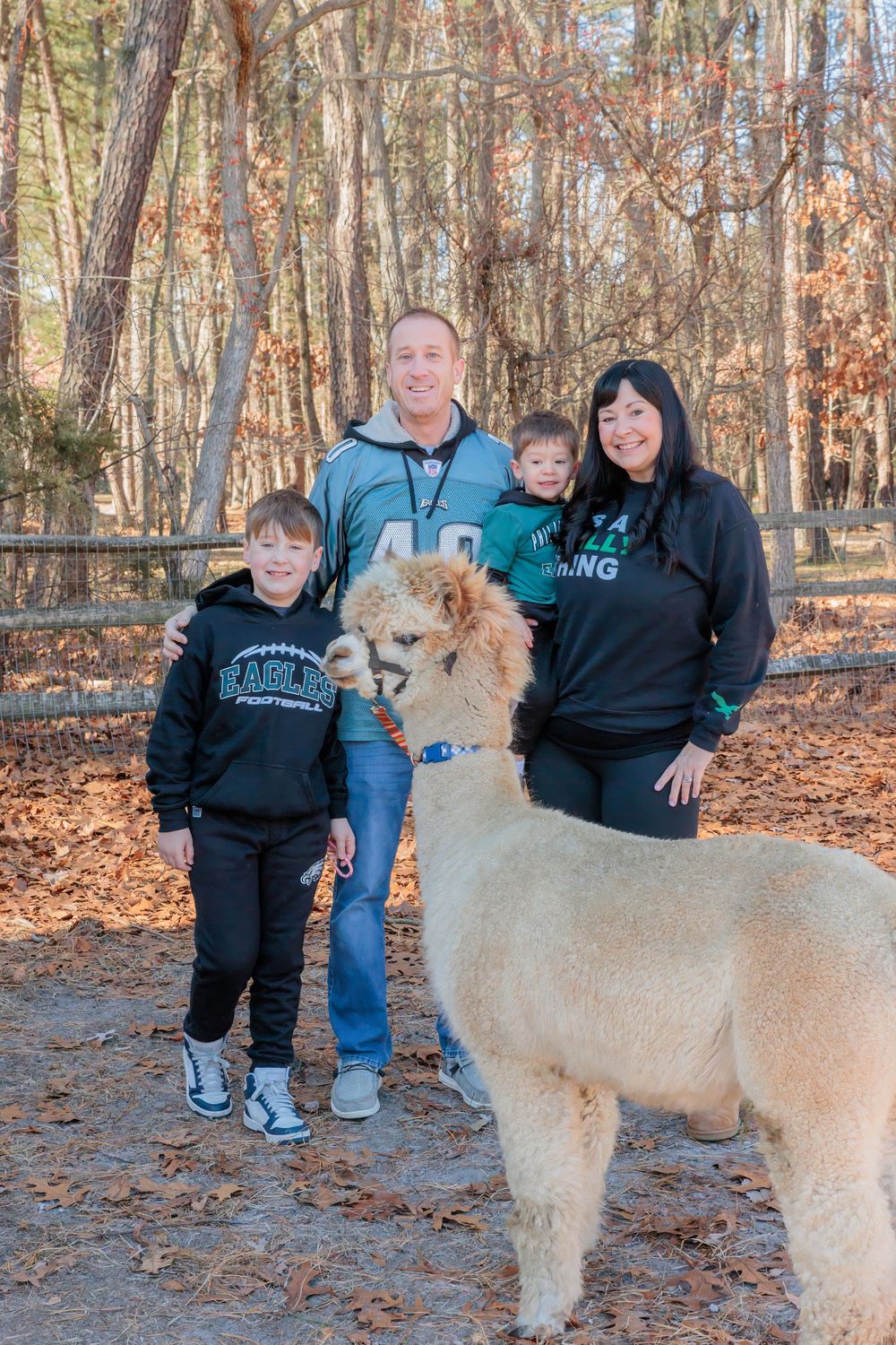 A large cream-colored alpaca stands on autumn leaves in the woods while people gather around to admire it. Marlton NJ Morning Glori Farmette
