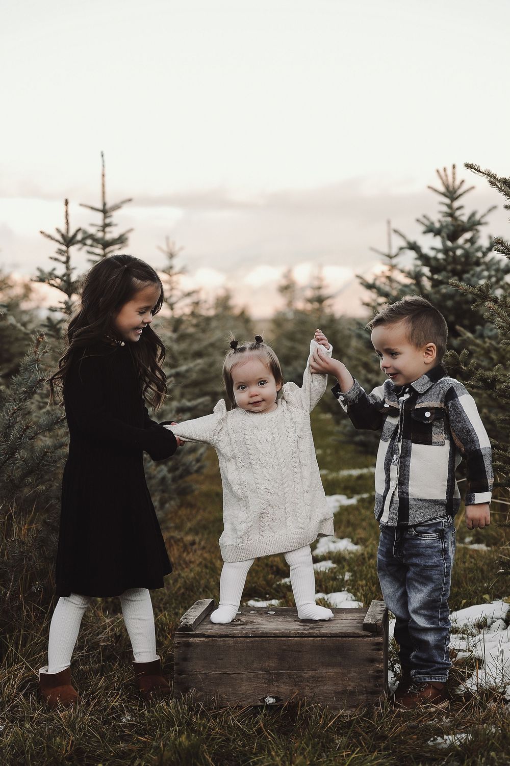 Winter scene with evergreen trees and people playing in the snow.