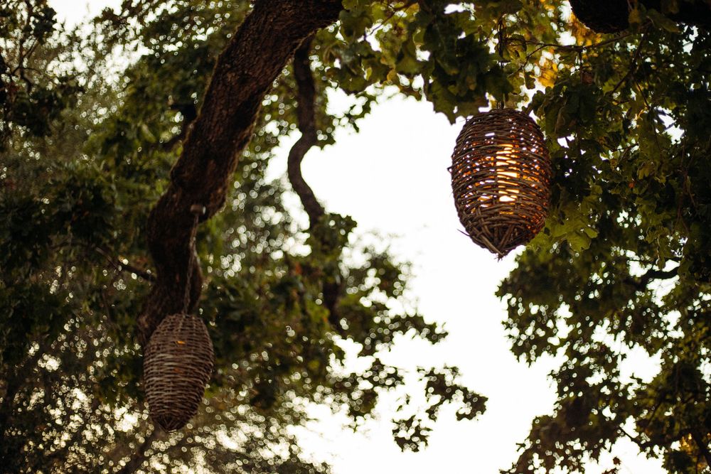 A romantic engagement photo session under a majestic oak tree at sunset with lanterns hanging above.